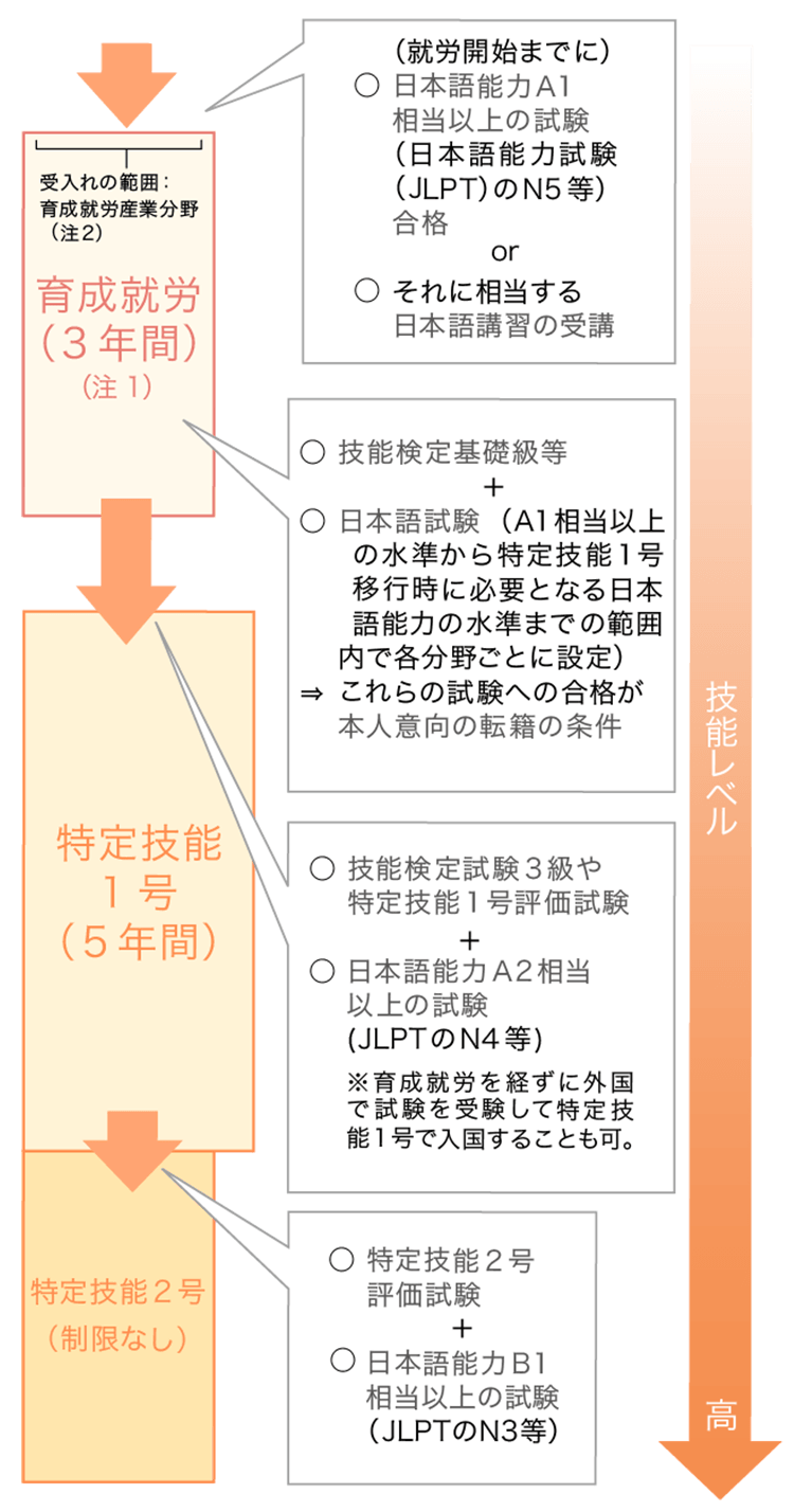 育成就労制度について